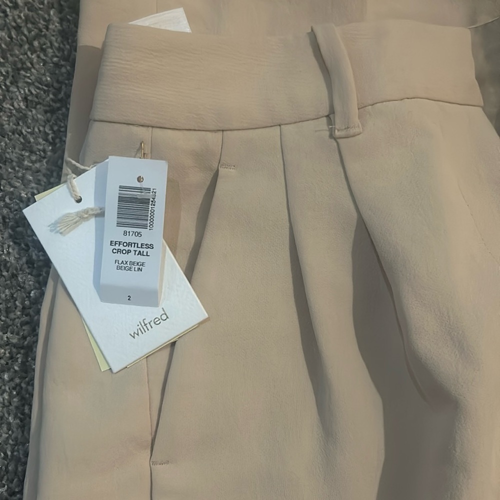 Aritzia Pant